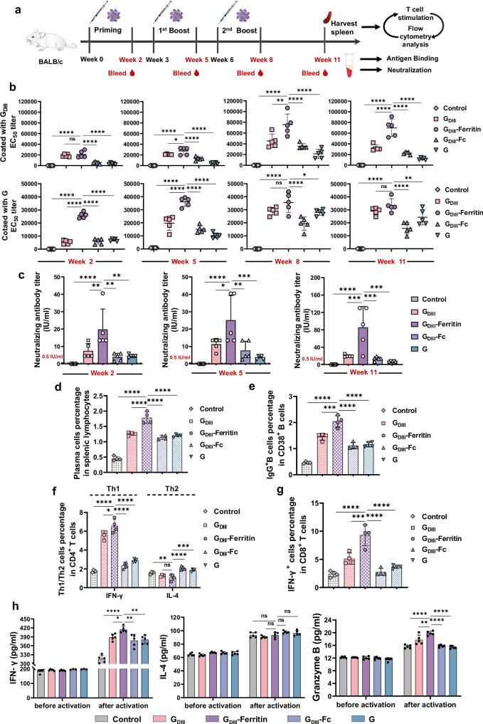 https://cdn.ncbi.nlm.nih.gov/pmc/blobs/a94d/11452399/1bbaa076eba0/41467_2024_52908_Fig5_HTML.jpg
