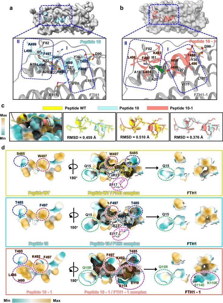 https://cdn.ncbi.nlm.nih.gov/pmc/blobs/a94d/11452399/881990c7875e/41467_2024_52908_Fig2_HTML.jpg