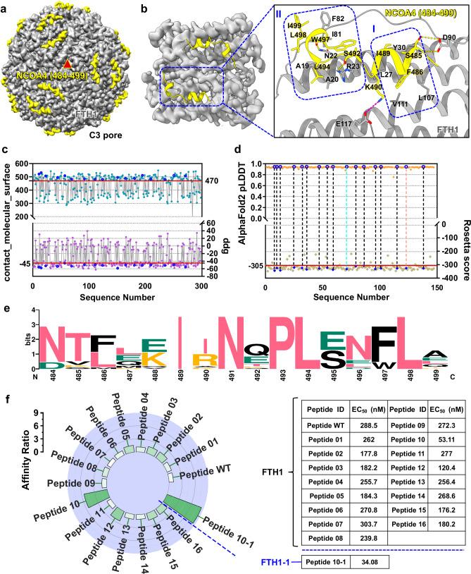 https://cdn.ncbi.nlm.nih.gov/pmc/blobs/a94d/11452399/ea96084c390d/41467_2024_52908_Fig1_HTML.jpg