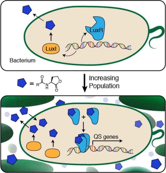 https://cdn.ncbi.nlm.nih.gov/pmc/blobs/a950/4665086/8345688565db/ja-2015-06728t_0002.jpg