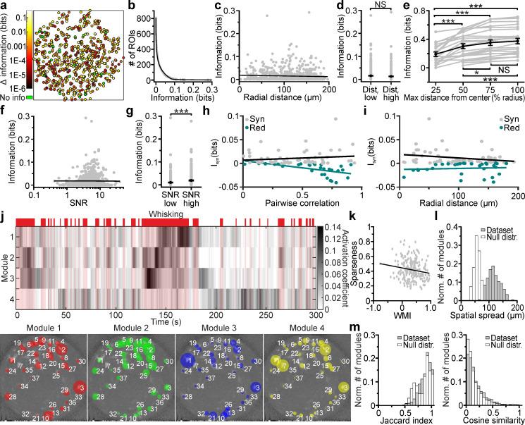 https://cdn.ncbi.nlm.nih.gov/pmc/blobs/a950/7685710/3c2847e4aff5/elife-58882-fig7.jpg