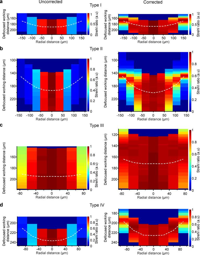 https://cdn.ncbi.nlm.nih.gov/pmc/blobs/a950/7685710/428e5189e494/elife-58882-fig2-figsupp3.jpg
