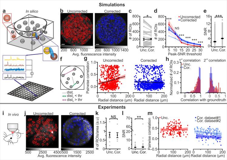https://cdn.ncbi.nlm.nih.gov/pmc/blobs/a950/7685710/637e7032115b/elife-58882-fig4.jpg