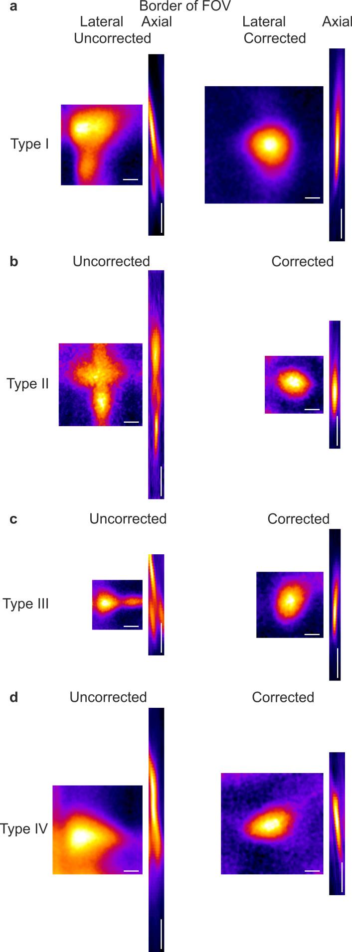 https://cdn.ncbi.nlm.nih.gov/pmc/blobs/a950/7685710/edd7861d3fd1/elife-58882-fig3-figsupp3.jpg