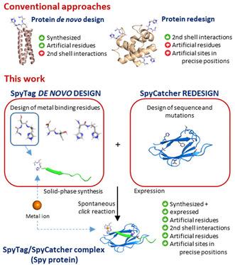https://cdn.ncbi.nlm.nih.gov/pmc/blobs/a951/12278347/c1ca85210f42/CBIC-26-e202500208-g009.jpg