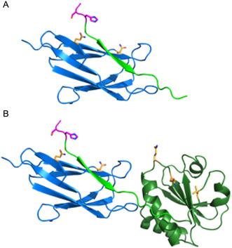https://cdn.ncbi.nlm.nih.gov/pmc/blobs/a951/12278347/f14f71da813d/CBIC-26-e202500208-g006.jpg