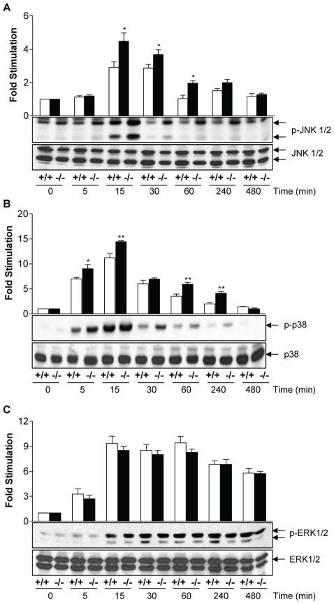 https://cdn.ncbi.nlm.nih.gov/pmc/blobs/a951/2978729/1627c1a3409d/ppat.1001192.g002.jpg