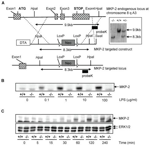 https://cdn.ncbi.nlm.nih.gov/pmc/blobs/a951/2978729/207a15a776cb/ppat.1001192.g001.jpg