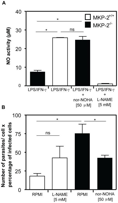 https://cdn.ncbi.nlm.nih.gov/pmc/blobs/a951/2978729/346dfd22a2ac/ppat.1001192.g010.jpg