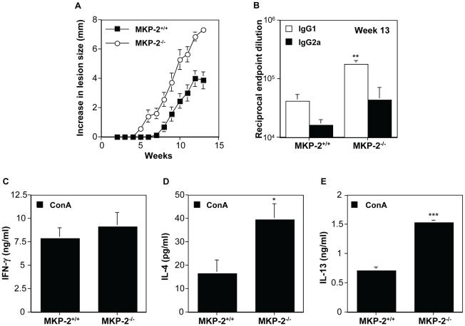 https://cdn.ncbi.nlm.nih.gov/pmc/blobs/a951/2978729/f2f055ca0ace/ppat.1001192.g008.jpg