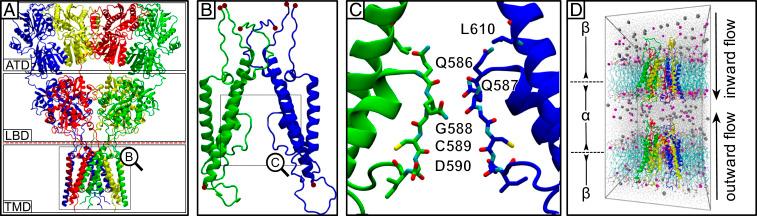 https://cdn.ncbi.nlm.nih.gov/pmc/blobs/a954/7923540/444684895a56/pnas.2012843118fig01.jpg