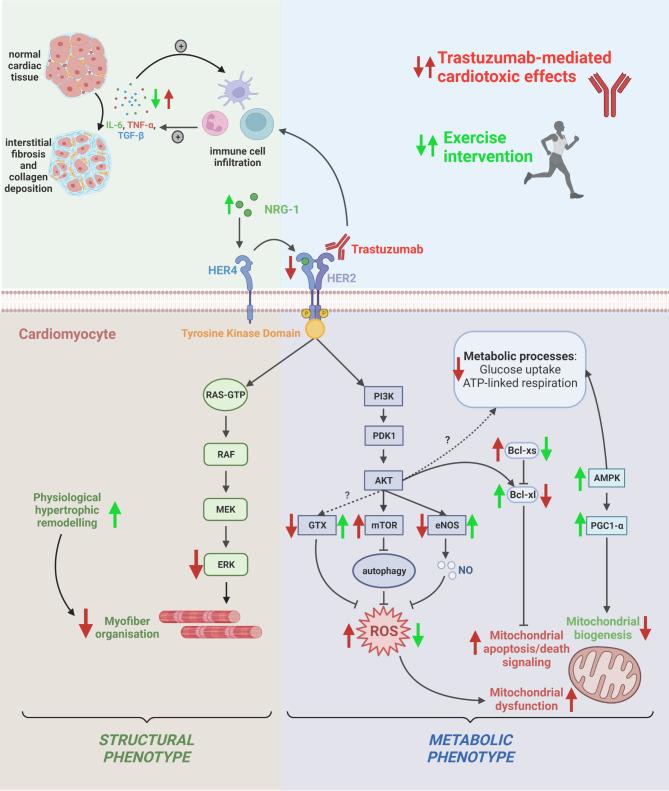 https://cdn.ncbi.nlm.nih.gov/pmc/blobs/a956/10127350/27043b858ae9/40959_2023_172_Fig1_HTML.jpg