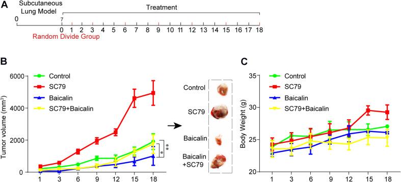 https://cdn.ncbi.nlm.nih.gov/pmc/blobs/a957/7876332/cd9761f5c3bf/fmolb-07-602282-g005.jpg
