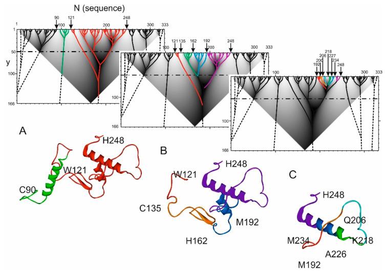 https://cdn.ncbi.nlm.nih.gov/pmc/blobs/a957/8348890/950e0a5dc41a/ijms-22-08339-g002.jpg