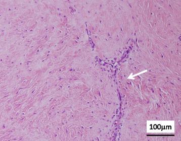 https://cdn.ncbi.nlm.nih.gov/pmc/blobs/a958/5577790/63c6f670372a/12891_2017_1736_Fig2_HTML.jpg