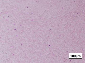 https://cdn.ncbi.nlm.nih.gov/pmc/blobs/a958/5577790/fc4d72b90f17/12891_2017_1736_Fig6_HTML.jpg
