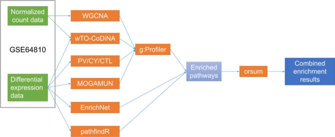 https://cdn.ncbi.nlm.nih.gov/pmc/blobs/a95a/11718016/8c49616d47d9/41598_2025_85580_Fig1_HTML.jpg