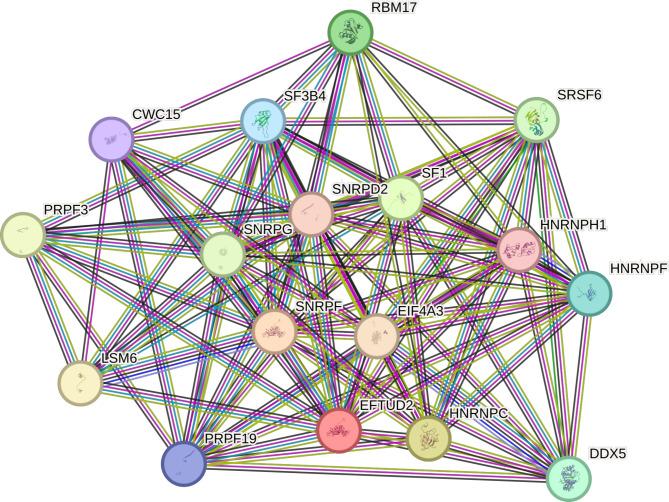 https://cdn.ncbi.nlm.nih.gov/pmc/blobs/a95a/11718016/90215f674b7a/41598_2025_85580_Fig4_HTML.jpg
