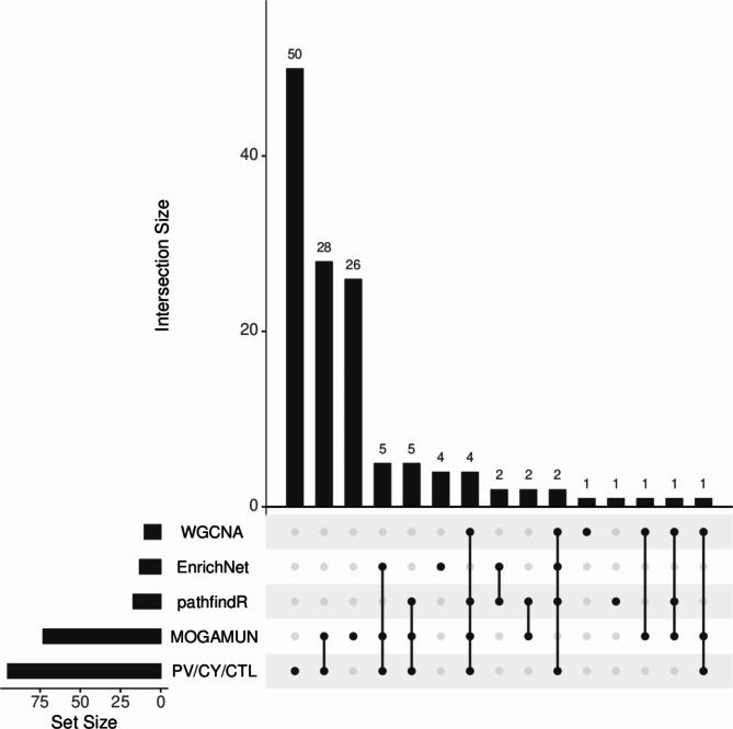 https://cdn.ncbi.nlm.nih.gov/pmc/blobs/a95a/11718016/9501151e0bef/41598_2025_85580_Fig3_HTML.jpg