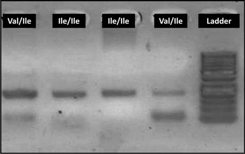 https://cdn.ncbi.nlm.nih.gov/pmc/blobs/a95b/5604643/115f9f9a42b6/medi-96-e7933-g005.jpg