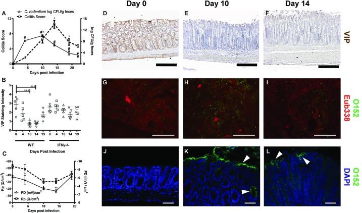 https://cdn.ncbi.nlm.nih.gov/pmc/blobs/a95e/6155558/0a4329513c43/pone.0204567.g002.jpg