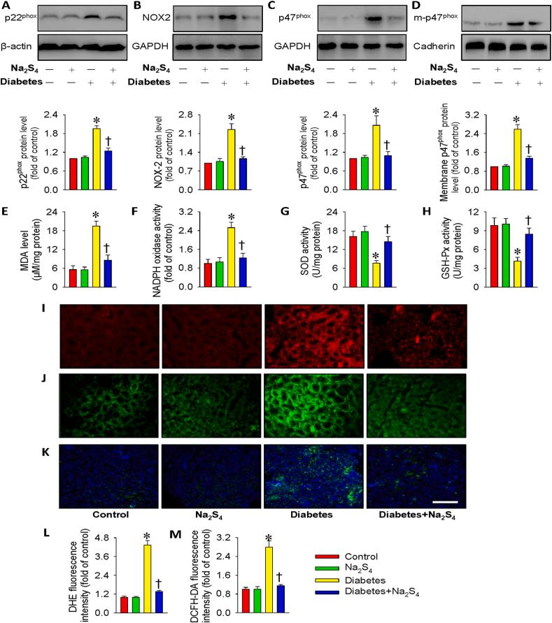 https://cdn.ncbi.nlm.nih.gov/pmc/blobs/a95e/7718489/12c15b2082cf/gr8.jpg