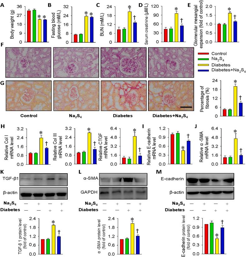 https://cdn.ncbi.nlm.nih.gov/pmc/blobs/a95e/7718489/50cbf79b6c24/gr6.jpg