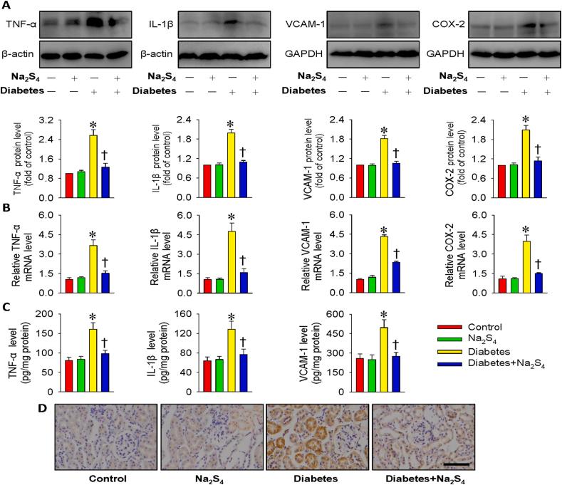 https://cdn.ncbi.nlm.nih.gov/pmc/blobs/a95e/7718489/640c0d07347f/gr7.jpg