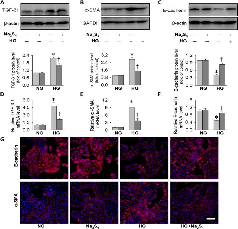 https://cdn.ncbi.nlm.nih.gov/pmc/blobs/a95e/7718489/6e5bd92f1004/gr3.jpg