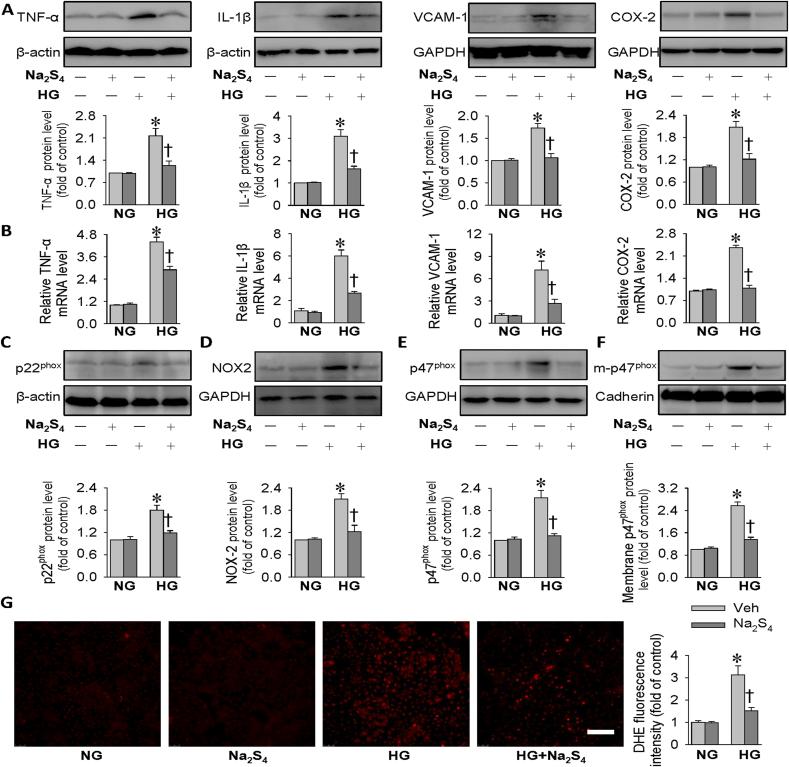 https://cdn.ncbi.nlm.nih.gov/pmc/blobs/a95e/7718489/a282172a1c0e/gr2.jpg