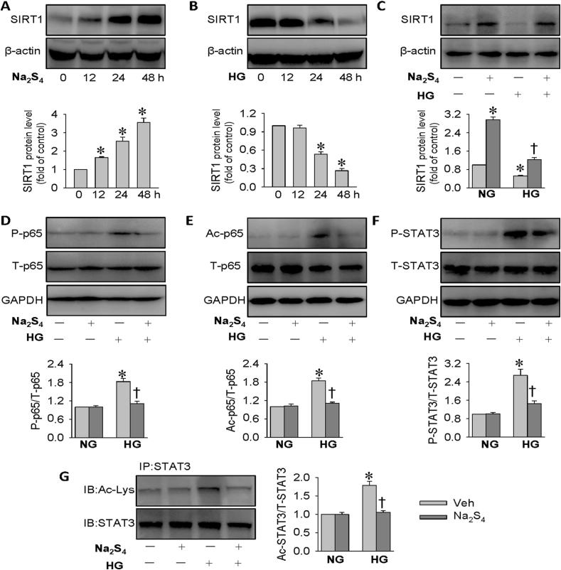 https://cdn.ncbi.nlm.nih.gov/pmc/blobs/a95e/7718489/ce9d806b2612/gr4.jpg