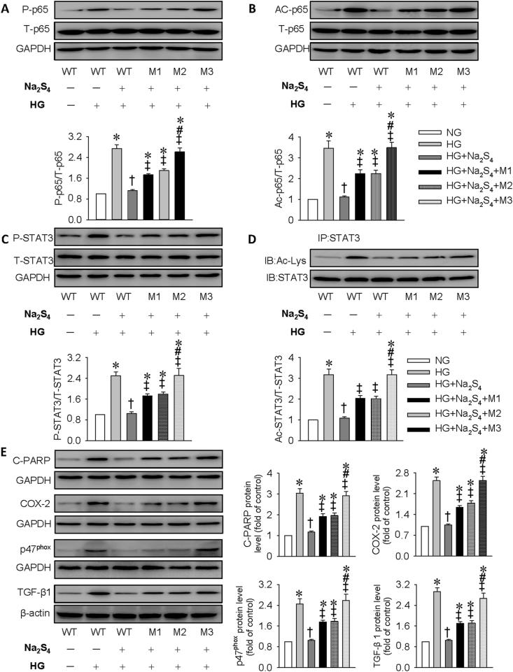 https://cdn.ncbi.nlm.nih.gov/pmc/blobs/a95e/7718489/e5ac031b7529/gr5.jpg