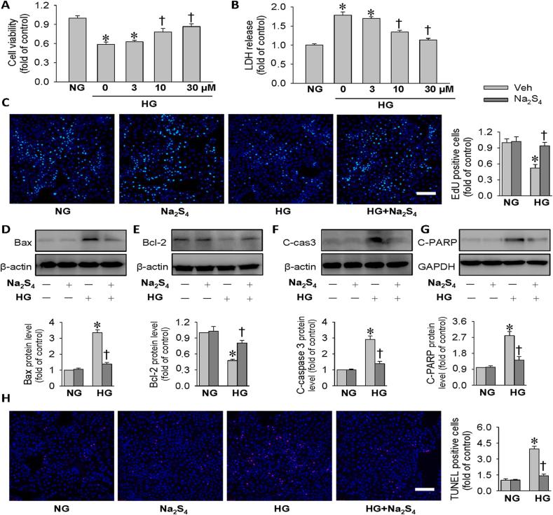 https://cdn.ncbi.nlm.nih.gov/pmc/blobs/a95e/7718489/e969535eab9f/gr1.jpg