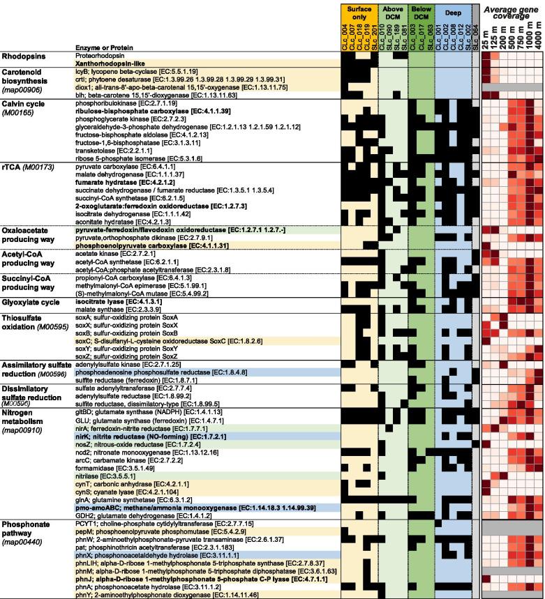 https://cdn.ncbi.nlm.nih.gov/pmc/blobs/a95e/8364033/5d1fb5341313/40168_2021_1119_Fig4_HTML.jpg