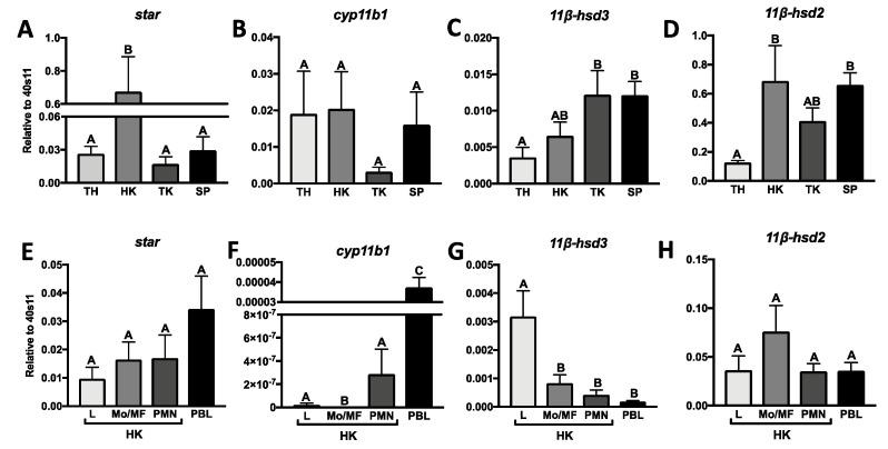https://cdn.ncbi.nlm.nih.gov/pmc/blobs/a95f/7728068/f3fa345bea37/ijms-21-08954-g001.jpg