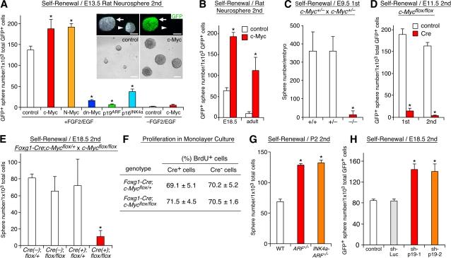 https://cdn.ncbi.nlm.nih.gov/pmc/blobs/a960/2606961/b5021402d475/jcb1831243f02.jpg