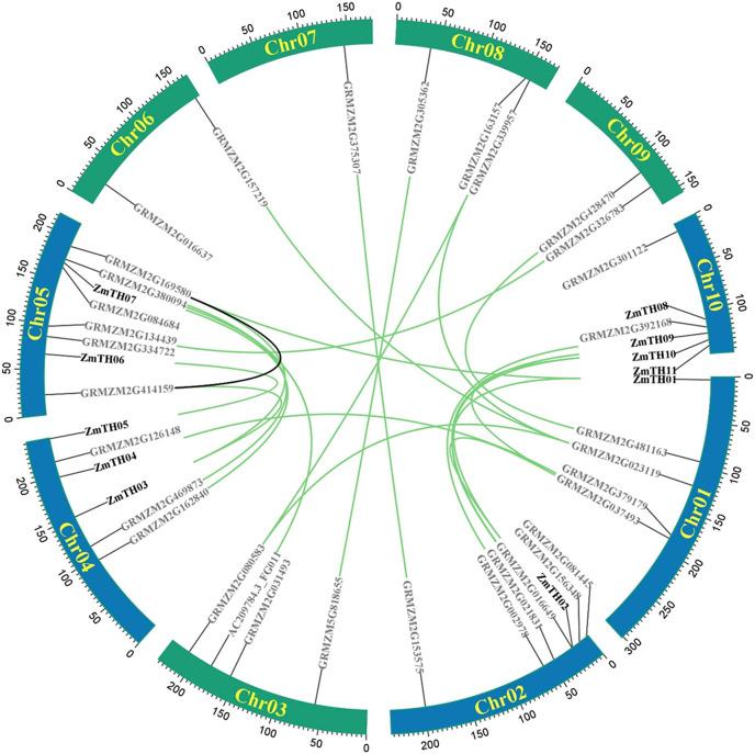 https://cdn.ncbi.nlm.nih.gov/pmc/blobs/a962/10158769/d20ef7cbb28e/peerj-11-15312-g001.jpg