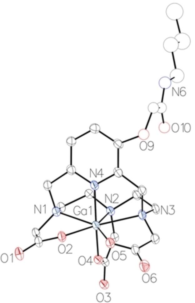 https://cdn.ncbi.nlm.nih.gov/pmc/blobs/a962/11618045/b99b4c9bc9af/CHEM-30-e202403358-g009.jpg