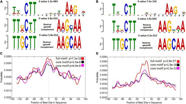 https://cdn.ncbi.nlm.nih.gov/pmc/blobs/a964/8854171/cc62e3756c8f/fpls-13-829765-g003.jpg