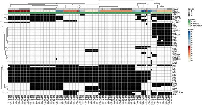 https://cdn.ncbi.nlm.nih.gov/pmc/blobs/a965/6712402/04c7f408667e/mBio.01977-19-f0004.jpg