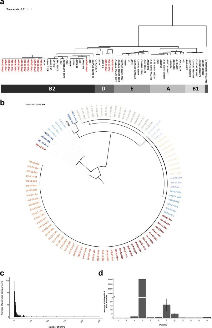 https://cdn.ncbi.nlm.nih.gov/pmc/blobs/a965/6712402/223f89b09681/mBio.01977-19-f0001.jpg