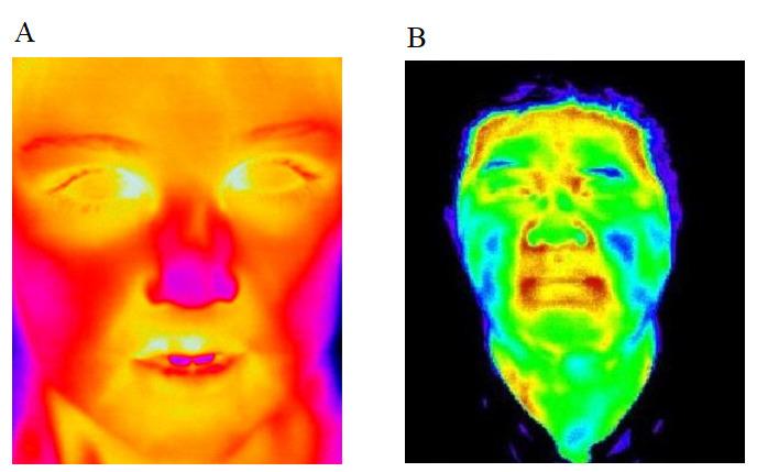 https://cdn.ncbi.nlm.nih.gov/pmc/blobs/a965/8414296/c6af42984a99/ijmr_v10i3e22524_fig1.jpg