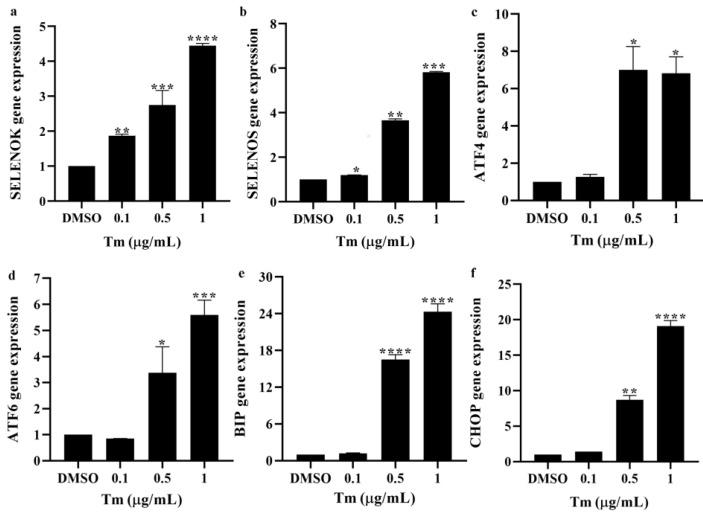 https://cdn.ncbi.nlm.nih.gov/pmc/blobs/a965/9311522/bafd795fa821/antioxidants-11-01264-g004.jpg