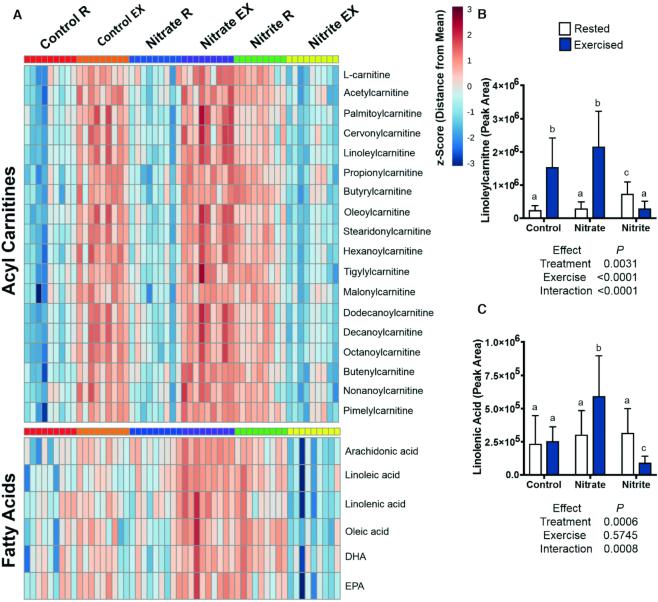 https://cdn.ncbi.nlm.nih.gov/pmc/blobs/a966/6887948/1aa7deef008c/nxz202fig7.jpg