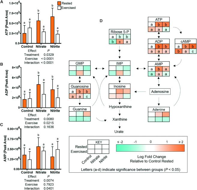 https://cdn.ncbi.nlm.nih.gov/pmc/blobs/a966/6887948/725ae8d862f9/nxz202fig5.jpg