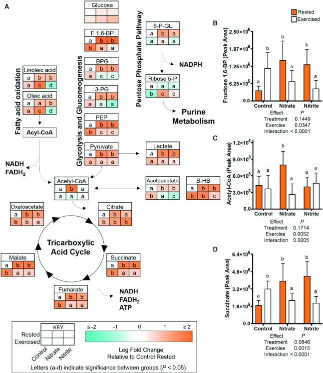 https://cdn.ncbi.nlm.nih.gov/pmc/blobs/a966/6887948/8a439cd13e40/nxz202fig6.jpg