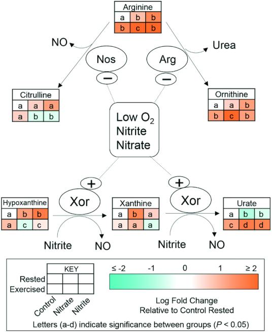 https://cdn.ncbi.nlm.nih.gov/pmc/blobs/a966/6887948/e50bdd86171e/nxz202fig4.jpg