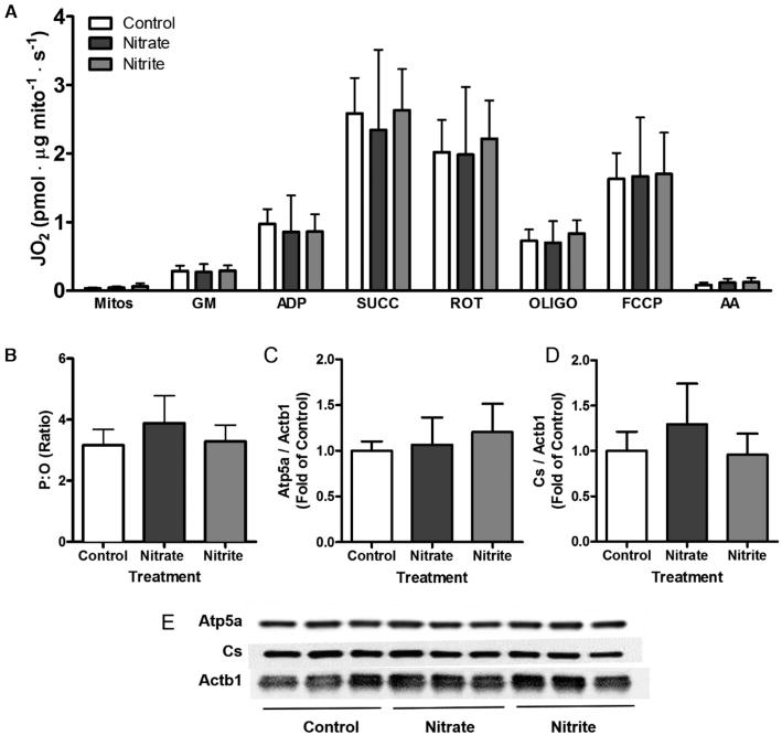 https://cdn.ncbi.nlm.nih.gov/pmc/blobs/a966/6887948/fa7b5d7623bb/nxz202fig3.jpg
