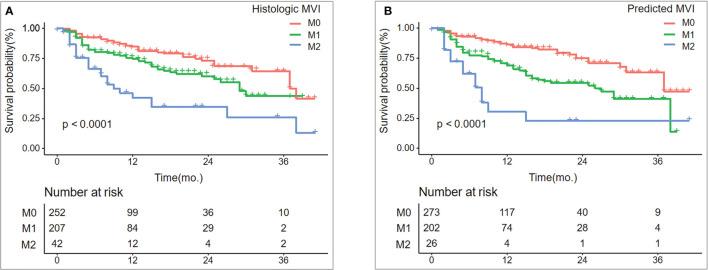 https://cdn.ncbi.nlm.nih.gov/pmc/blobs/a966/8981726/47cd65af31ba/fonc-12-853336-g005.jpg
