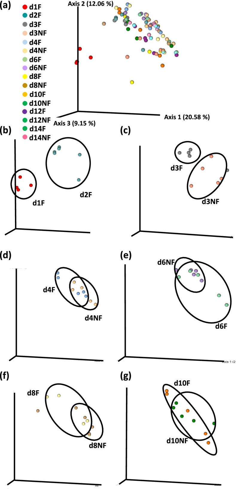 https://cdn.ncbi.nlm.nih.gov/pmc/blobs/a966/9404604/22b41c04490b/12866_2022_2619_Fig5_HTML.jpg